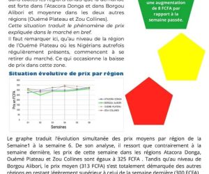 PRIX DE NOIX BRUTES DE CAJOU AU BÉNIN: Une augmentation de 8 FCFA par rapport à la semaine écoulée
