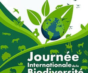 JOURNÉE INTERNATIONALE DE LA BIODIVERSITÉ : Préserver la diversité biologique, un défi majeur