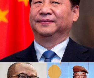 CRISE BÉNIN-NIGER :  La médiation chinoise pour une désescalade