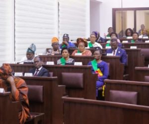 HAAC 7e MANDATURE : l&rsquo;Assemblée nationale choisit ses représentants