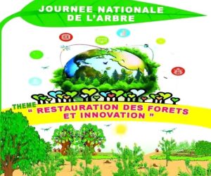 JOURNÉE NATIONALE DE L&rsquo;ARBRE 2024: « Les arbres jouent un rôle crucial dans la lutte contre le changement climatique…», rappelle Imorou Moustaphaou