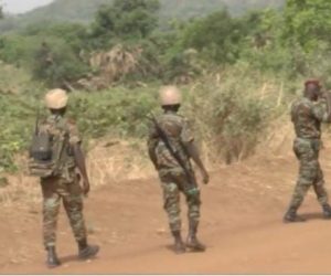 ATTAQUE TERRORISTE À TANGUIÉTA : 7 soldats tués dans le parc de la pendjari