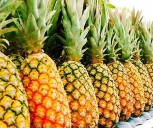 FILIÈRE ANANAS AU BÉNIN: La France retire le pain de sucre sans marque et le pain de sucre topexo de la vente