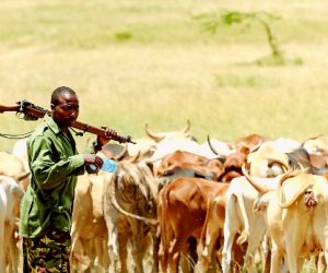 SAVÈ/POUR UNE COEXISTENCE PACIFIQUE ENTRE LES COMMUNAUTÉS AGRICOLES ET PASTORALES: Six décisions prises à Oké-Owo