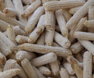 RAFLE DE MAÏS: Un produit vertueux méconnu du grand public