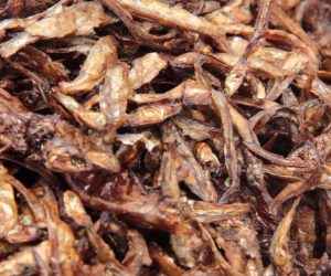 LE FRETIN: Petit poisson aux grandes vertus