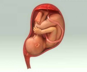 VENDREDI CULTURE : Enfouissement du placenta, une pratique rituelle et culturelle aux grands enjeux. La particularité des peuples Mahi