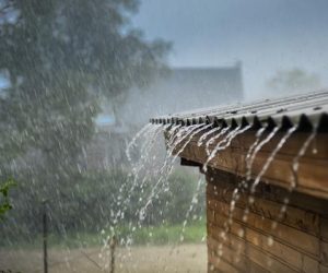 SANTÉ : L&rsquo;eau de pluie, nocive pour la santé ?