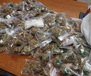 LUTTE CONTRE LE TRAFIC DE DROGUE AU BÉNIN : Près de seize mille kilos saisis