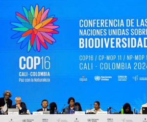 GESTION DE LA BIODIVERSITÉ : Le Bénin reçoit des lauriers à la COP 16 en Colombie
