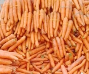 CONSOMMATION DE LA CAROTTE : Un légume aux multiples valeurs nutritionnelles