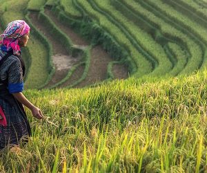 DROITS HUMAINS ET DÉVELOPPEMENT MONDIAL : Près de deux milliards de femmes n’ont aucune forme d’accès à la protection sociale
