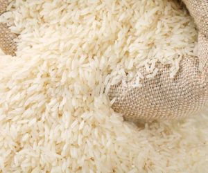 FILIÈRE RIZ BLANCHI EN AFRIQUE : «Sa production est une activité rentable au Bénin », selon Ocis