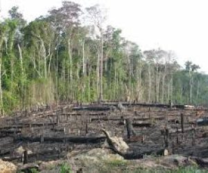 CROISSANCE DÉMOGRAPHIQUE : La surpopulation, une menace pour l&rsquo;environnement ?