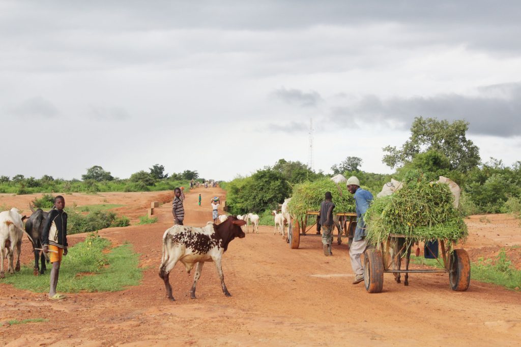 UNDP-bj-Vulnerabilite-ChangementClimatique-Malanville_0
