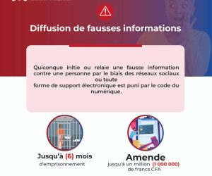 LUTTE CONTRE LES INFOX : Le Cnin met en garde les administrateurs de groupes WhatsApp