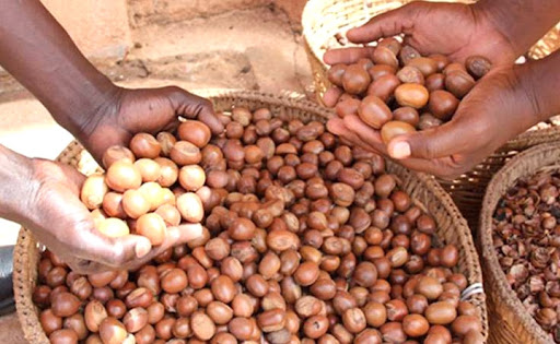 Karite-01