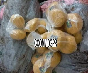 SÈMÈ-PODJI : 511 kg de chanvre indien saisis lors d’une opération coup de poing