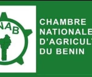 CHAMBRE NATIONALE D&rsquo;AGRICULTURE DU BÉNIN : Près de dix ans après, qu&rsquo;est-ce qui bloque le paiement des arriérés de salaire des anciens CIPA ?