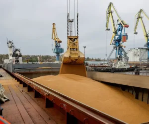 BLÉ RUSSE : La dépendance africaine fragilisée par les tensions en mer Noire