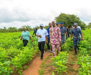 CAMPAGNE AGRICOLE 2026-2027 : Le Ministre Goubalan descend dans les champs et lance le défi des 700 000 tonnes de coton